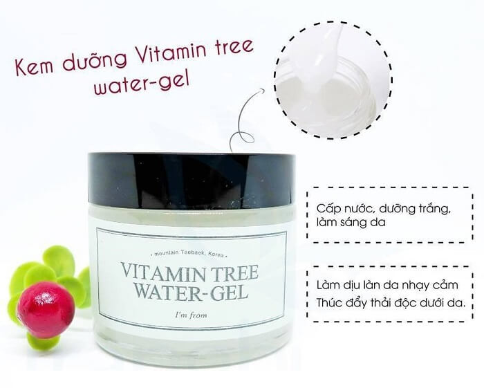 Kem dưỡng ẩm dạng gel Vitamin Tree Water Gel – I’m From