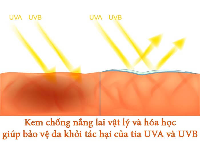 Kem chống nắng lai vật lý và hó học giúp bảo vệ khỏi tác hại của tia UVA và UVB