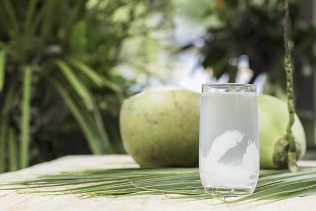 Nước dừa chứa nhiều chất dinh dưỡng có lợi cho sức khỏe