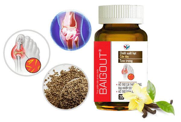 Sản phẩm Baigout với 3 dược liệu quý như Nhũ Hương, Tơm Trơng và hạt Cần Tây giúp giảm đau viêm do gout