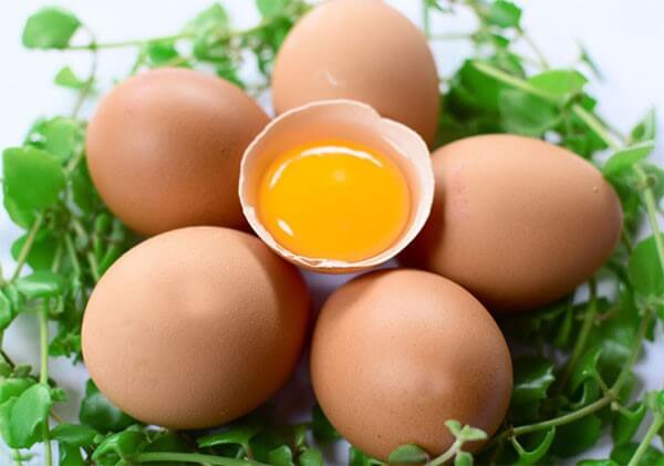 Trứng giúp bổ sung lượng protein tốt cho cơ thể