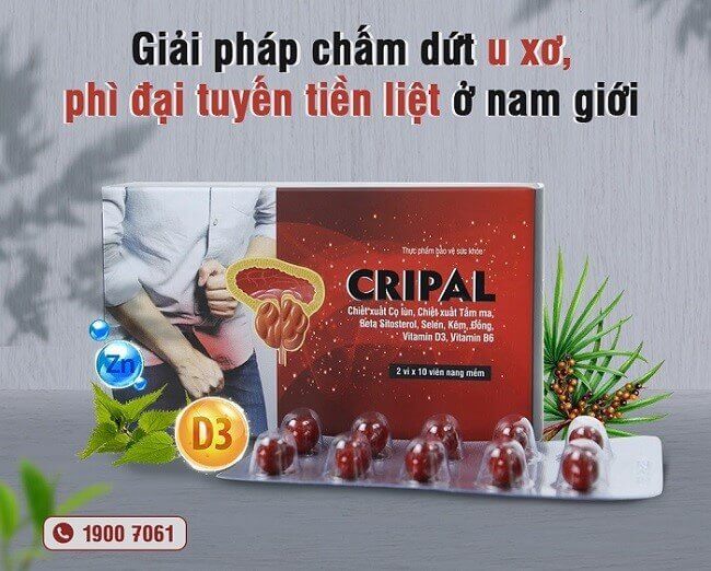 Viên uống Cripal giải pháp cho người bị u xơ tuyến tiền liệt hiệu quả